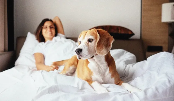 Best Pet-Friendly Apartments on Kanakapura Road 2026 Featured Image of Best Pet-Friendly Apartments on Kanakapura Road 2026